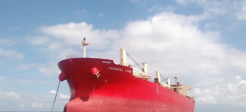 FEDERAL LYRA Bulk Carrier IMO 9668063 photo 3