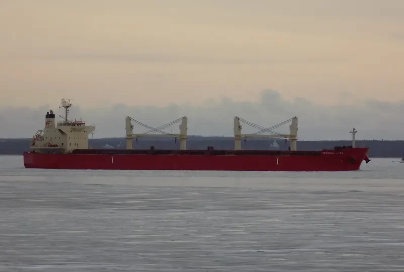 FEDERAL LYRA Bulk Carrier IMO 9668063 photo 6