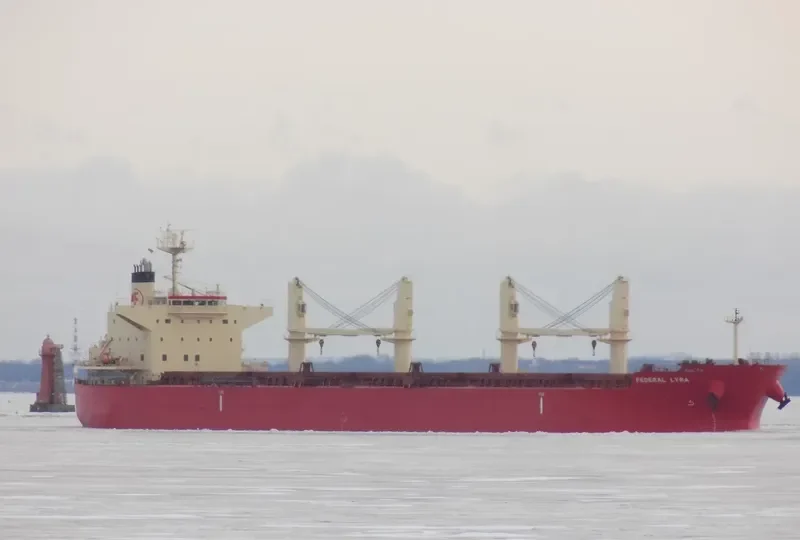FEDERAL LYRA Bulk Carrier IMO 9668063 photo 7