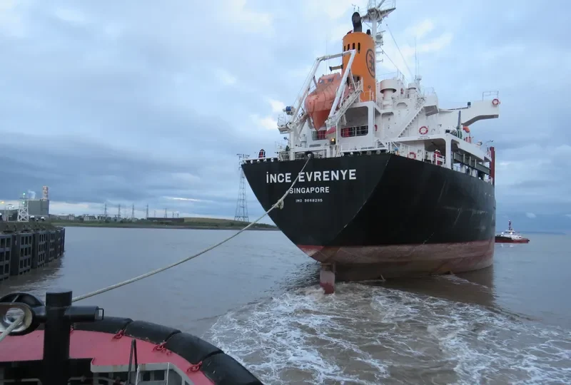 INCE EVRENYE Bulk Carrier IMO 9668295 photo 6