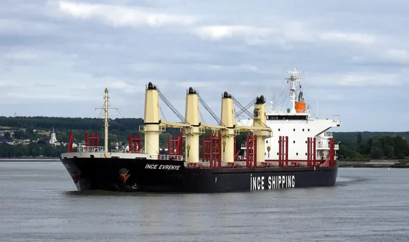 INCE EVRENYE Bulk Carrier IMO 9668295 photo 8
