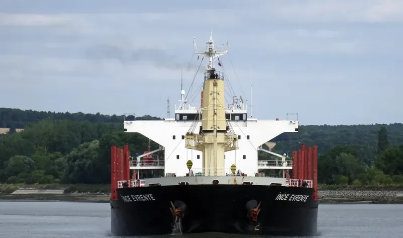 INCE EVRENYE Bulk Carrier IMO 9668295 photo 9
