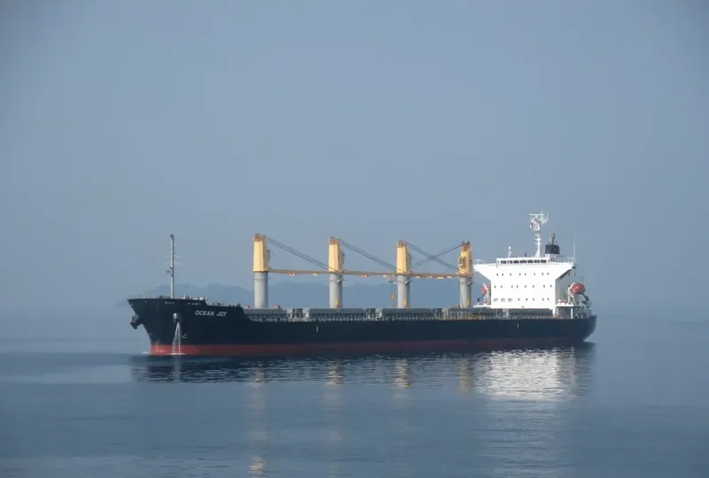 OCEAN JOY Bulk Carrier IMO 9668300 photo 2