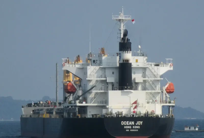 OCEAN JOY Bulk Carrier IMO 9668300 photo 3
