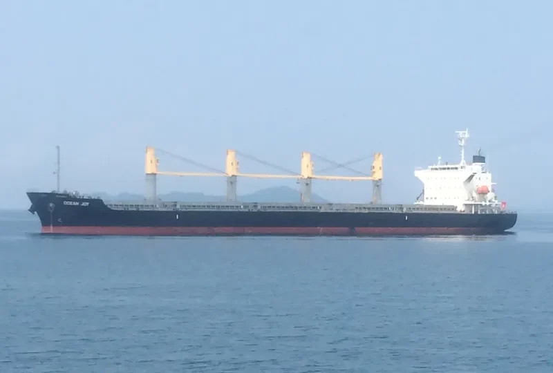 OCEAN JOY Bulk Carrier IMO 9668300 photo 4