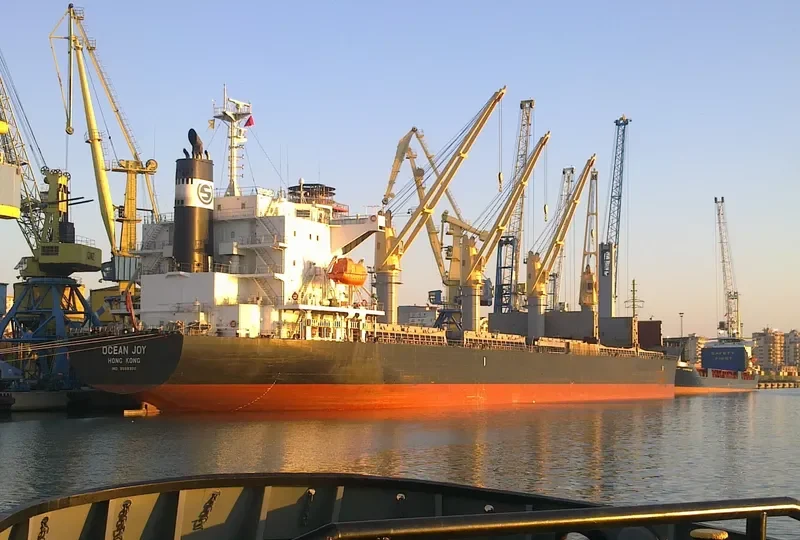 OCEAN JOY Bulk Carrier IMO 9668300 photo 5