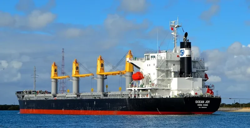 OCEAN JOY Bulk Carrier IMO 9668300 photo 6