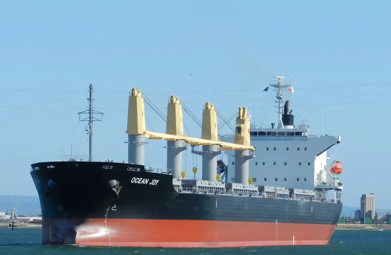 OCEAN JOY Bulk Carrier IMO 9668300 photo 8
