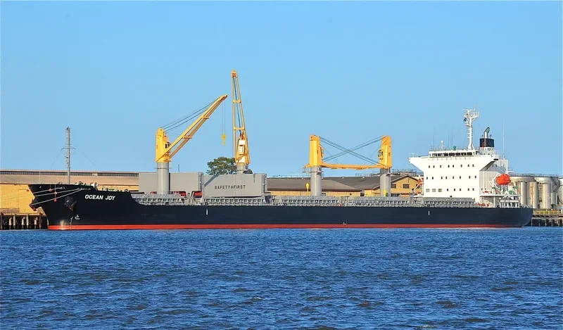 OCEAN JOY Bulk Carrier IMO 9668300 photo 9