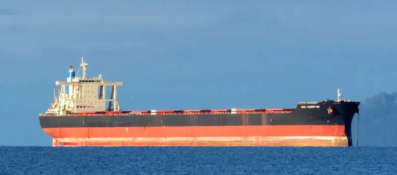 NSU NEWSTAR Bulk Carrier IMO 9668348 photo 2