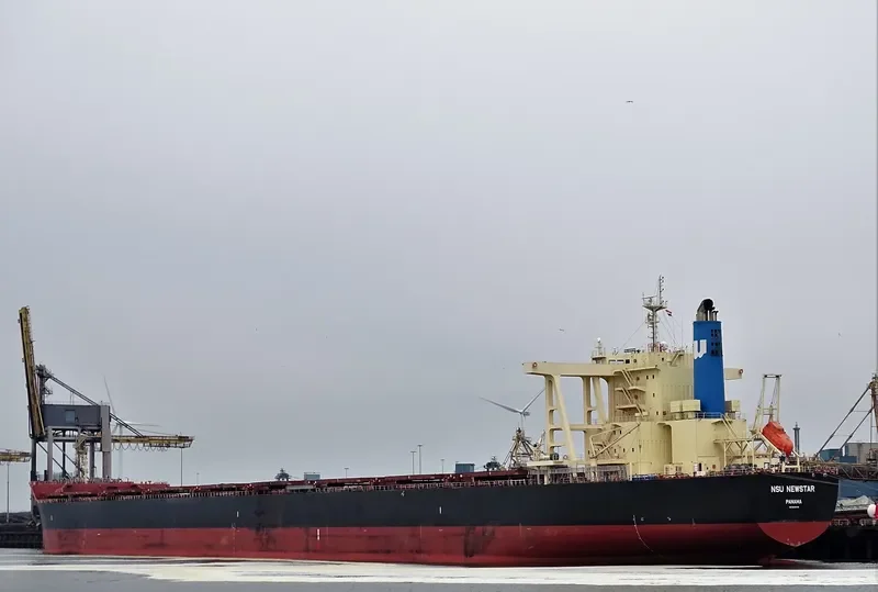 NSU NEWSTAR Bulk Carrier IMO 9668348 photo 4