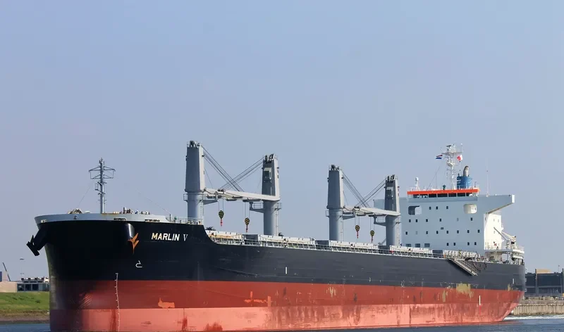 MARLIN V Bulk Carrier IMO 9668398 photo 4
