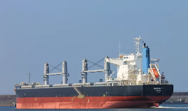 MARLIN V Bulk Carrier IMO 9668398 photo 5