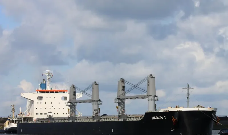 MARLIN V Bulk Carrier IMO 9668398 photo 6