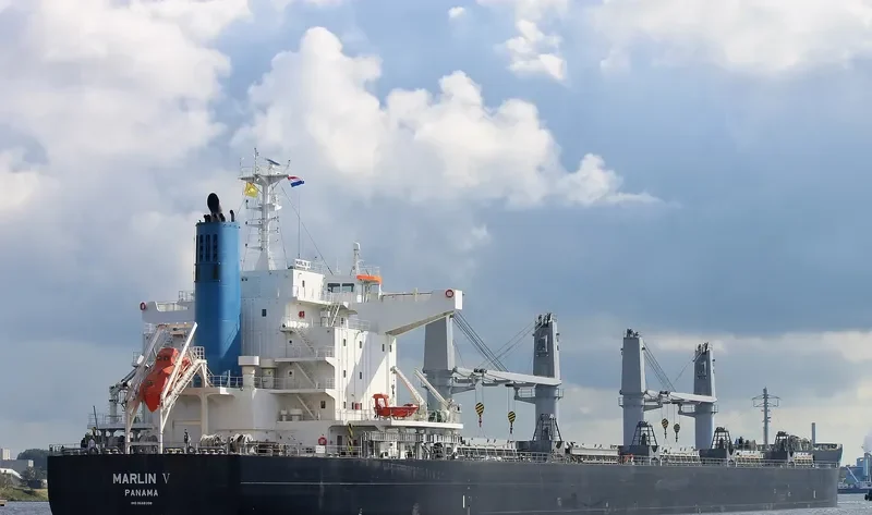 MARLIN V Bulk Carrier IMO 9668398 photo 7