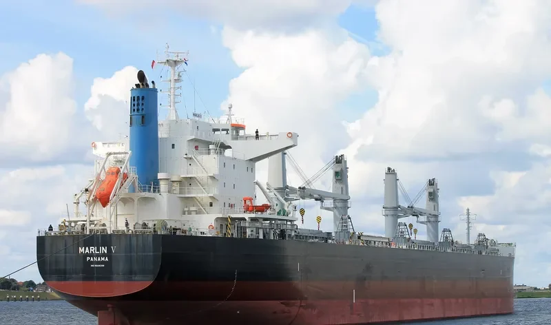 MARLIN V Bulk Carrier IMO 9668398 photo 8