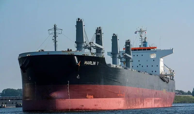 MARLIN V Bulk Carrier IMO 9668398 photo 9