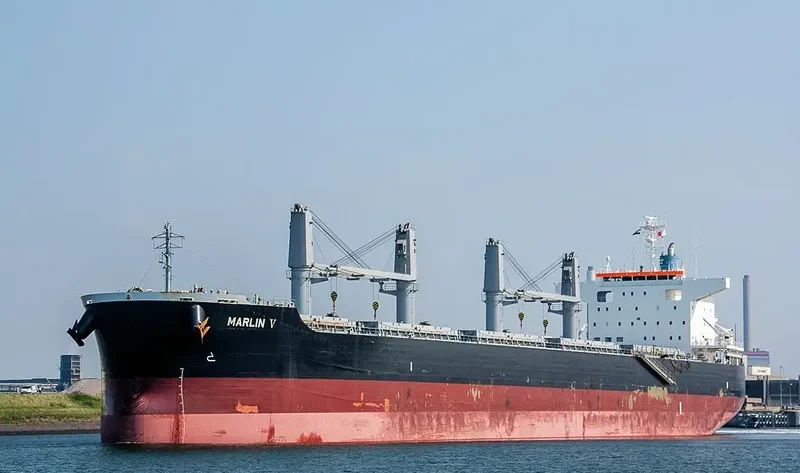 MARLIN V Bulk Carrier IMO 9668398 photo 10