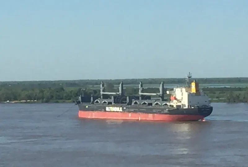 WELLPARK Bulk Carrier IMO 9668556 photo 2