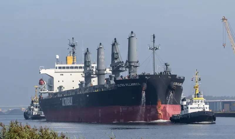 WELLPARK Bulk Carrier IMO 9668556 photo 3
