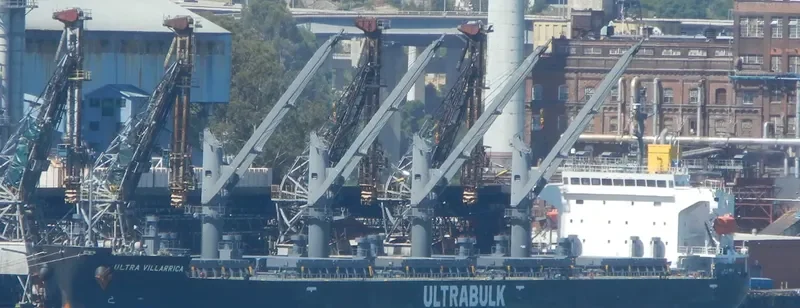 WELLPARK Bulk Carrier IMO 9668556 photo 4