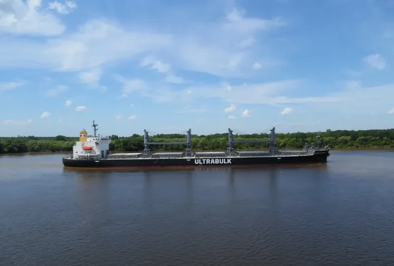 WELLPARK Bulk Carrier IMO 9668556 photo 5