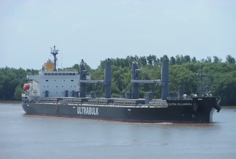 WELLPARK Bulk Carrier IMO 9668556 photo 6