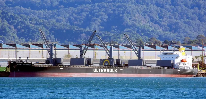 WELLPARK Bulk Carrier IMO 9668556 photo 7