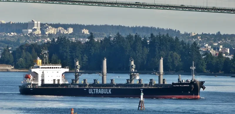 WELLPARK Bulk Carrier IMO 9668556 photo 8