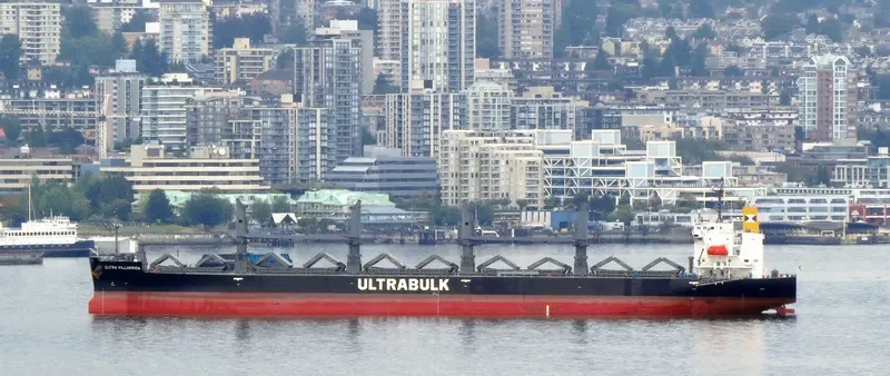 WELLPARK Bulk Carrier IMO 9668556 photo 9