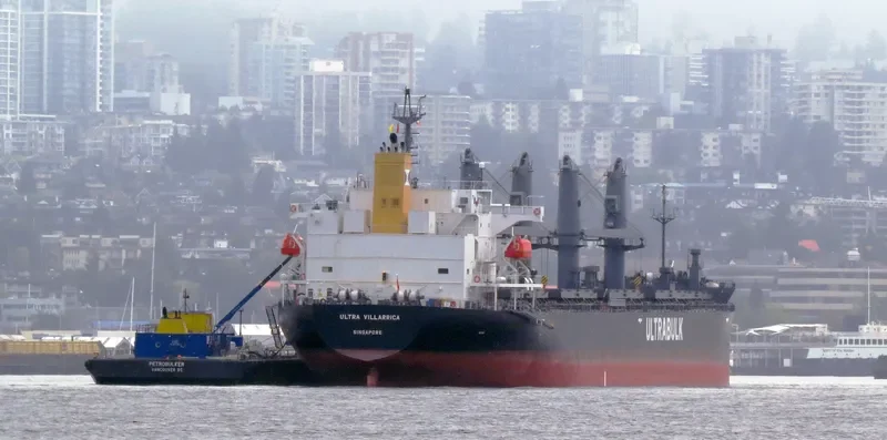 WELLPARK Bulk Carrier IMO 9668556 photo 10