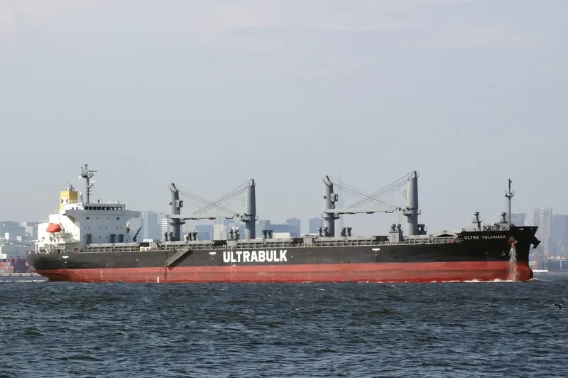 UNITY ODYSSEY Bulk Carrier IMO 9668934 photo 2
