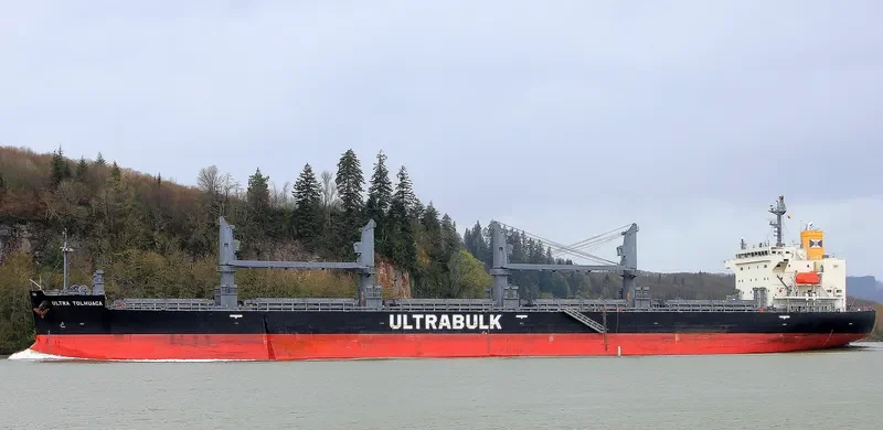 UNITY ODYSSEY Bulk Carrier IMO 9668934 photo 5