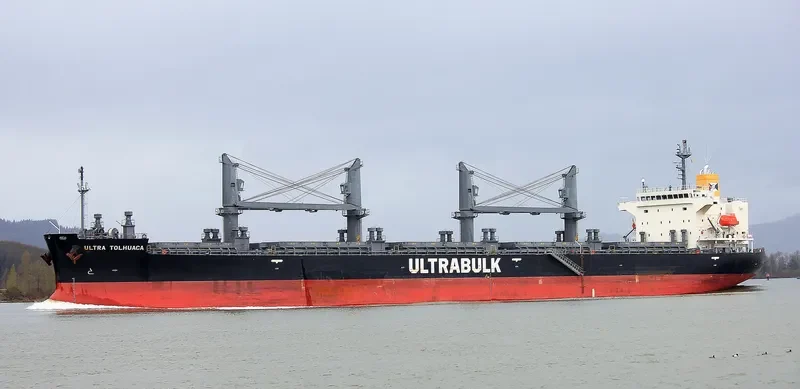 UNITY ODYSSEY Bulk Carrier IMO 9668934 photo 12