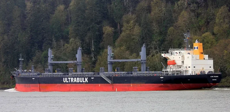 UNITY ODYSSEY Bulk Carrier IMO 9668934 photo 14