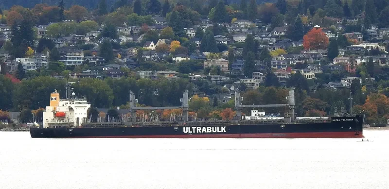 UNITY ODYSSEY Bulk Carrier IMO 9668934 photo 30