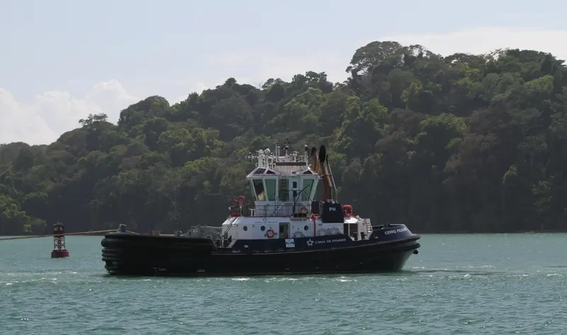 CERRO PICACHO General Cargo IMO 9669483 photo 4