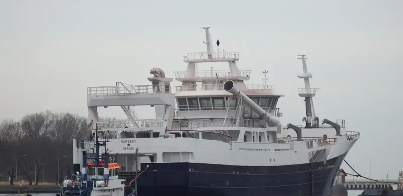 P TEST General Cargo IMO 9669756 photo 8