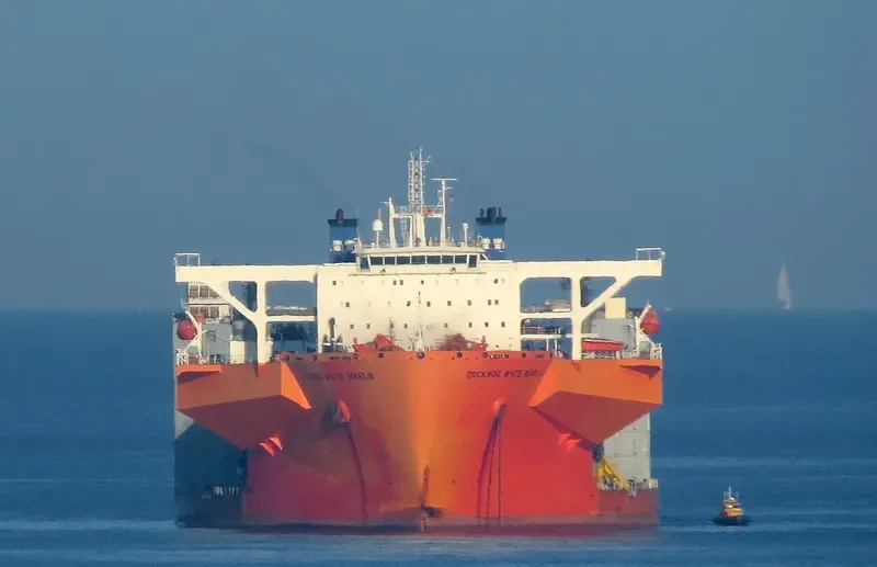 WHITE MARLIN General Cargo IMO 9670224 photo 4