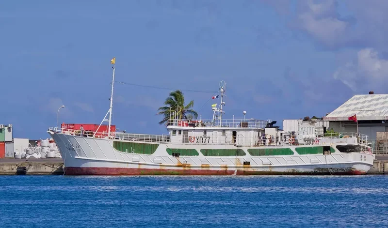 ZHONG YANG 29 General Cargo IMO 9671797