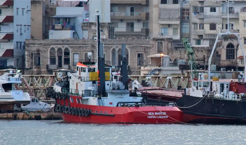 SEA MASTER General Cargo IMO 9672856