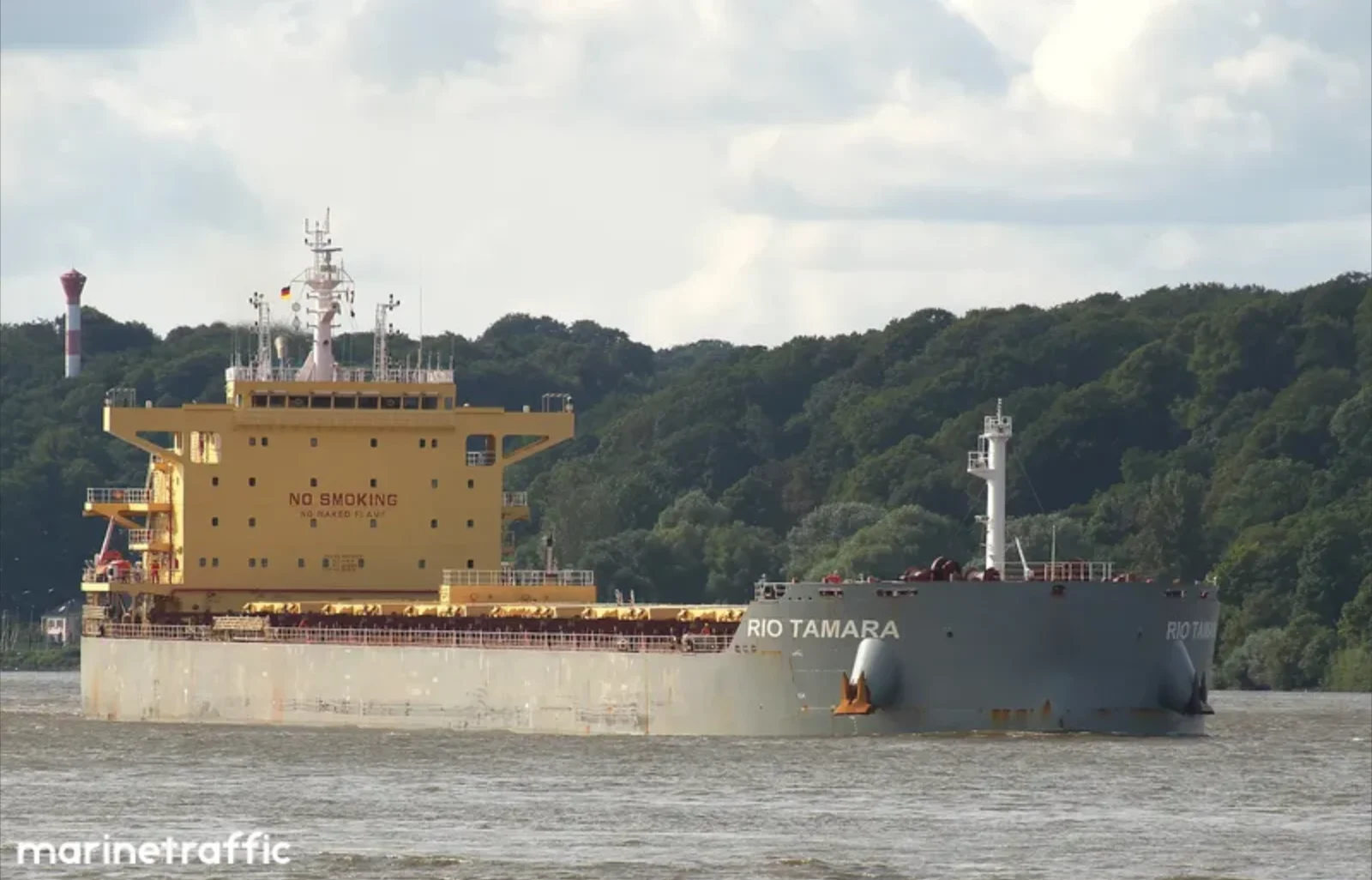 RIO TAMARA Bulk Carrier IMO 9673525 photo 2