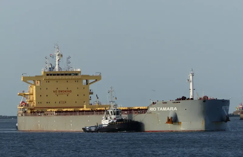 RIO TAMARA Bulk Carrier IMO 9673525 photo 11