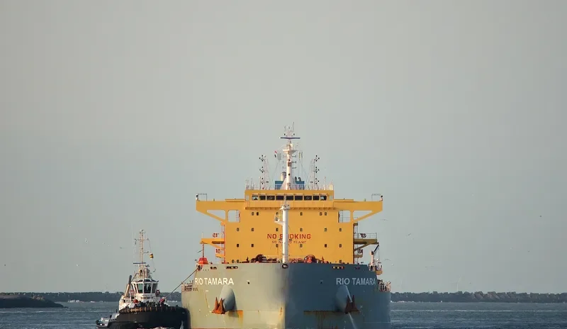 RIO TAMARA Bulk Carrier IMO 9673525 photo 33