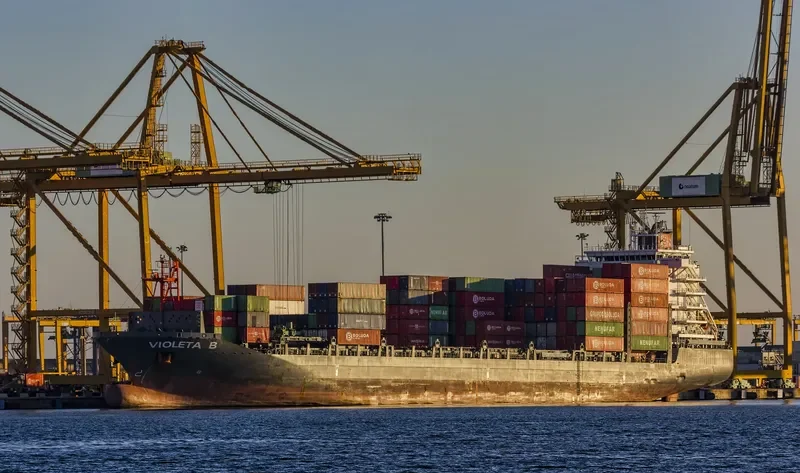 VIOLETA B Container Ship IMO 9673666 photo 3