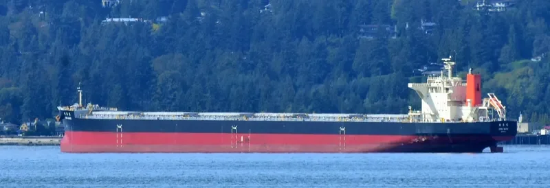 SOMA MARU Bulk Carrier IMO 9675212 photo 4