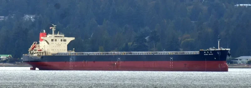 SOMA MARU Bulk Carrier IMO 9675212 photo 5