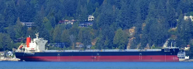 SOMA MARU Bulk Carrier IMO 9675212 photo 6