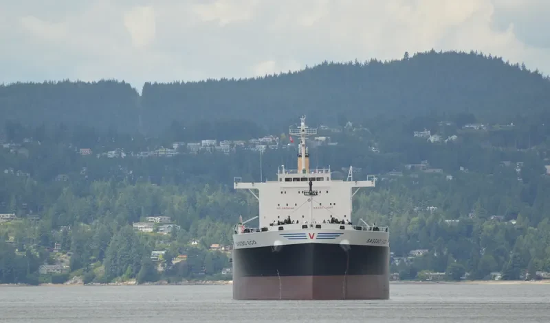 SASEBO ECO Bulk Carrier IMO 9675456 photo 3