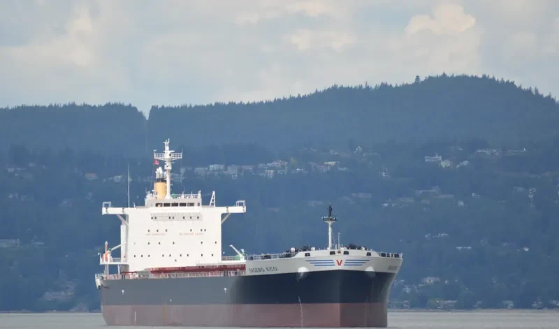 SASEBO ECO Bulk Carrier IMO 9675456 photo 4